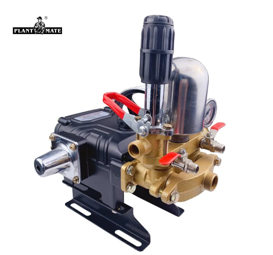 Agriculture High Pressure Three Cylinder 3 Piston Triplex Plunger Water Pump