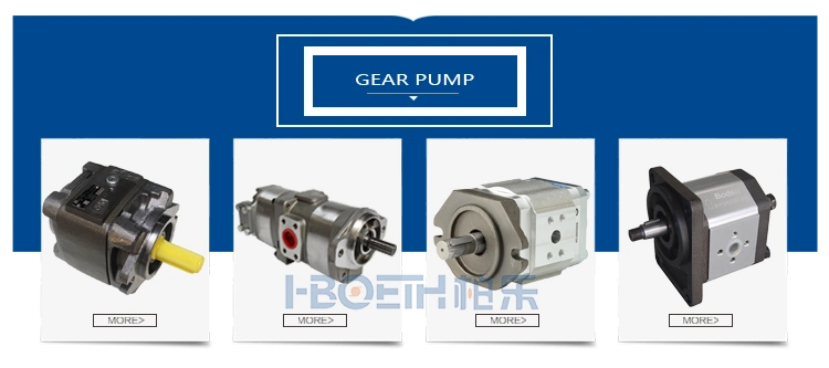 Rexroth Axial Piston Fixed Pump A4fo Series Hydraulic Plunger Piston Pump A4fo22 A4fo28 A4fo71 A4fo125 A4fo180 A4fo250 A4fo500