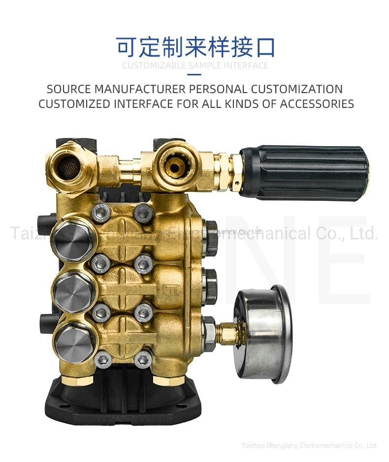 Sjld-1807q High Pressure Copper Gasoline Pump for Car Washer